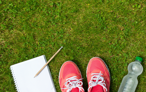 Journaling Toward Your Goals